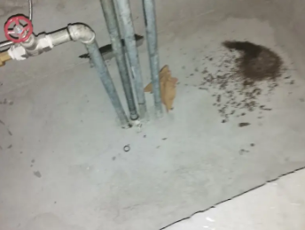 宣州卫生间测漏水价格明细